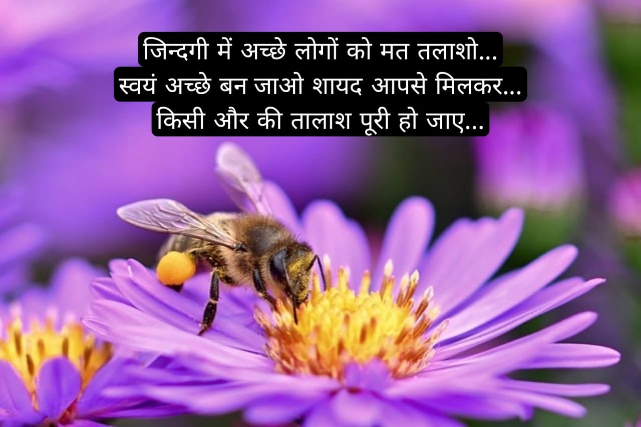 आज का सत्य वचन