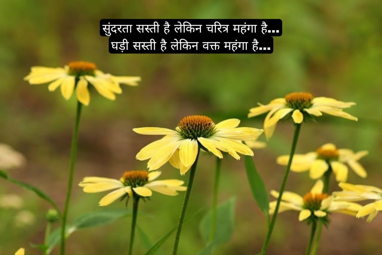 सर्वश्रेष्ठ अनमोल वचन