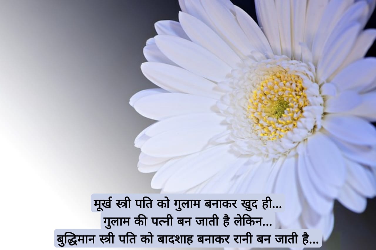 अनमोल ज्ञान की बातें