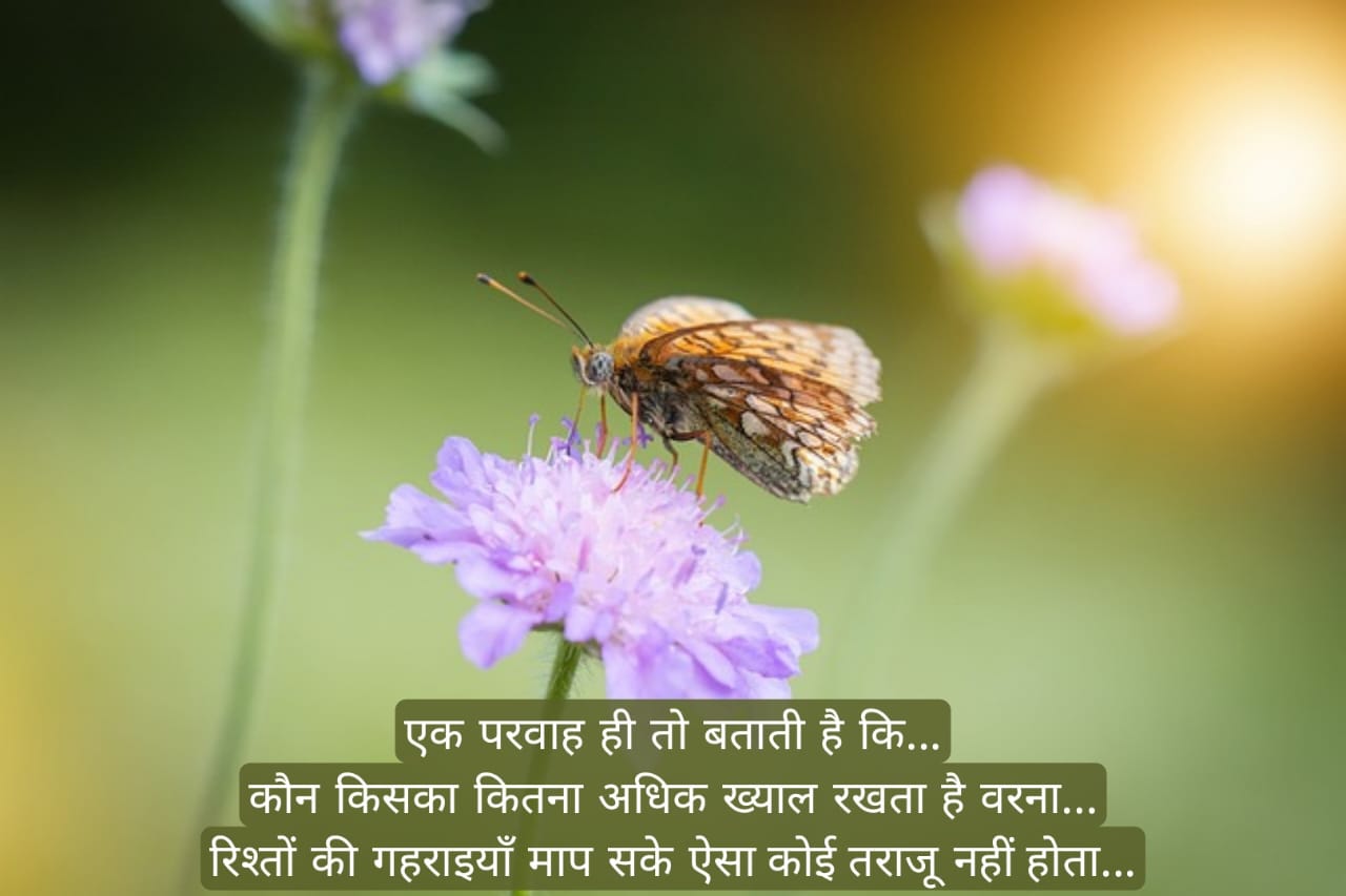 धार्मिक ज्ञान की बातें