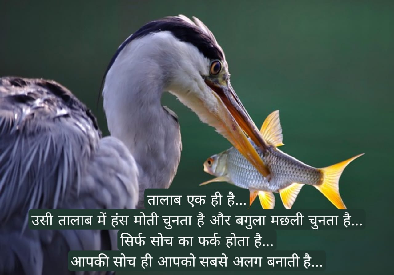 सत्संग ज्ञान की बातें