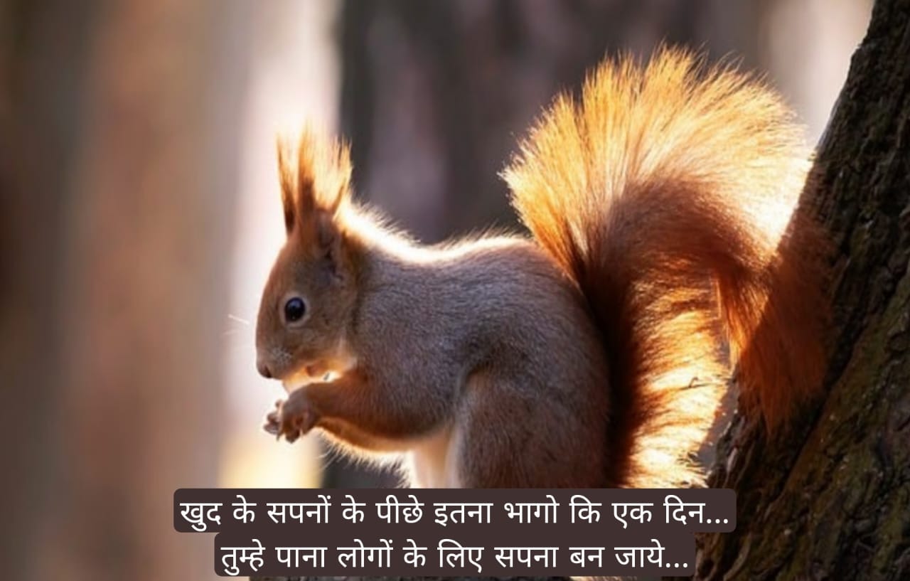 समय पर सर्वश्रेष्ठ सुविचार