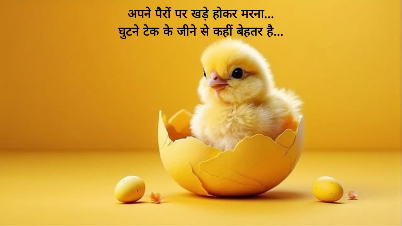 सर्वश्रेष्ठ शुभ विचार Good Morning