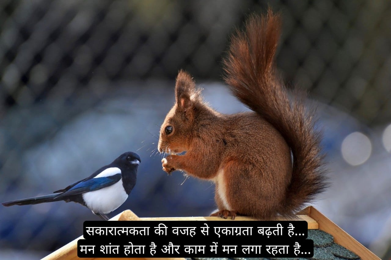 Golden Quotes in Hindi