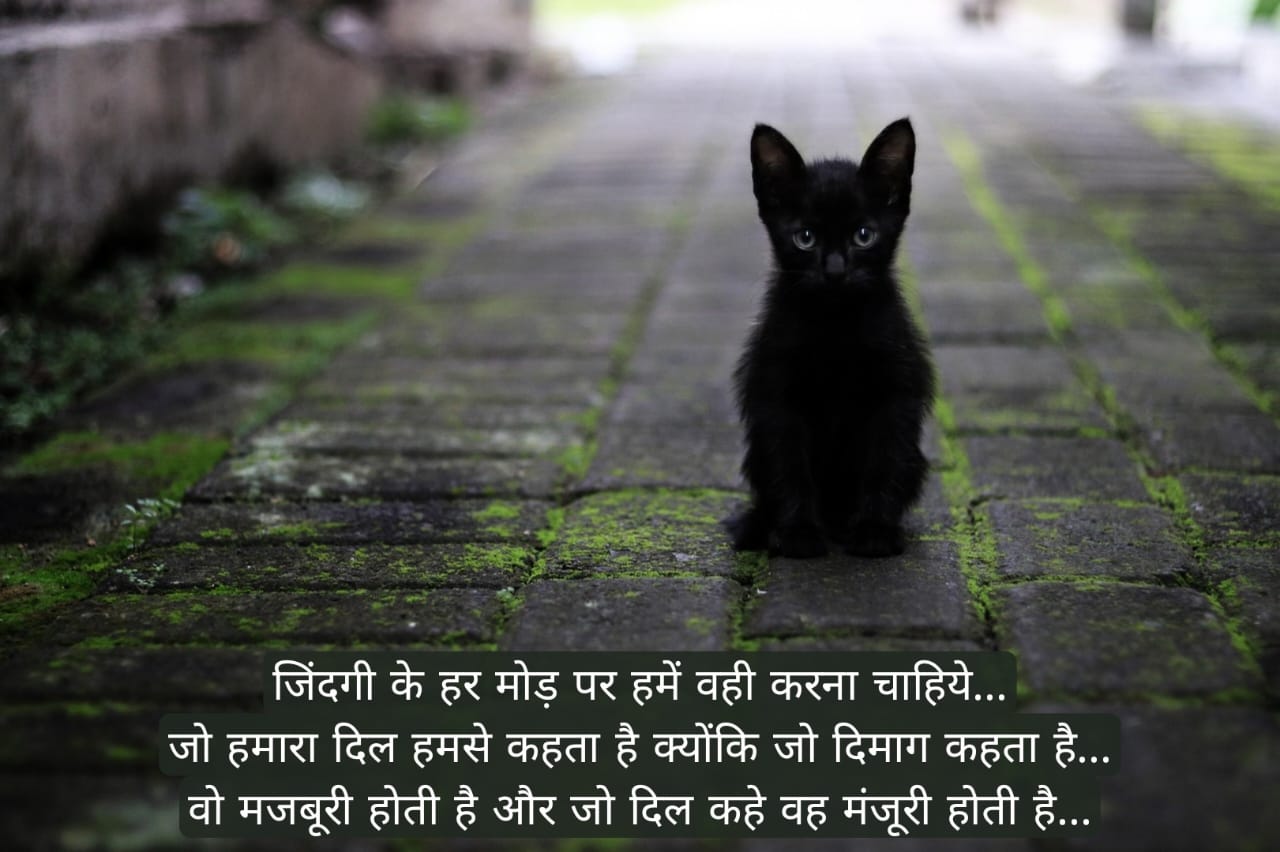 आज का अमृत वचन