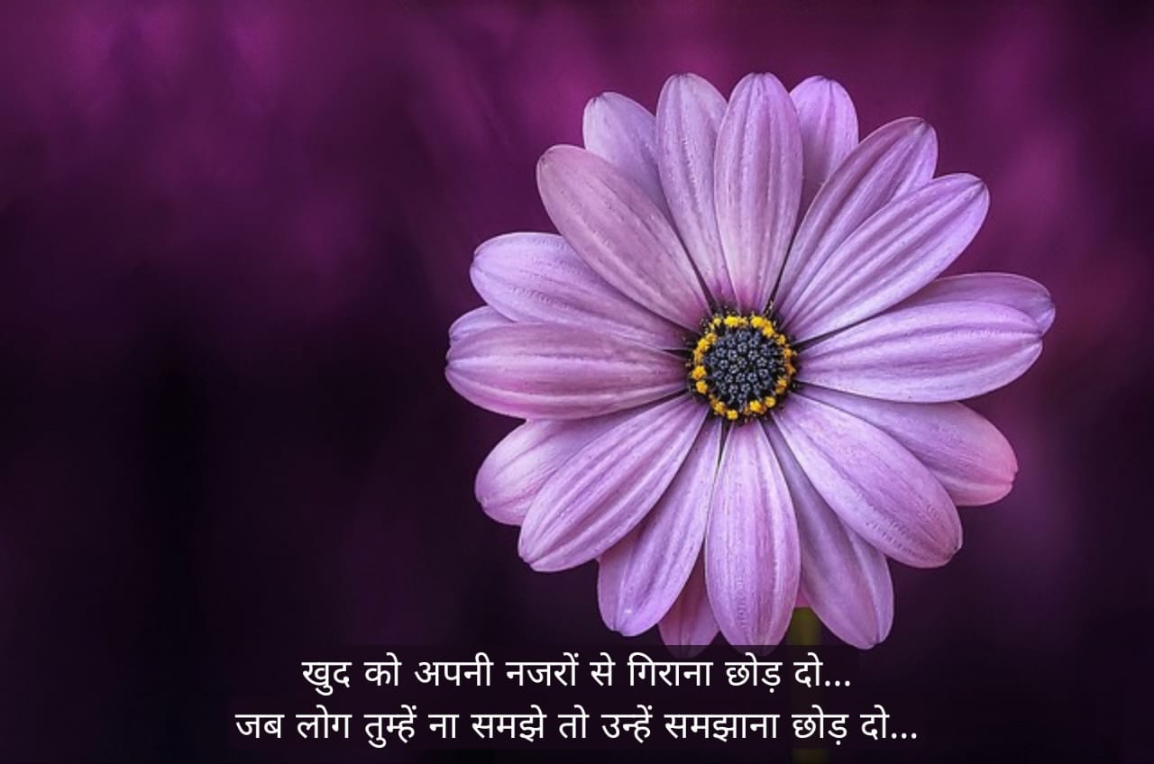 जिन्दगी पर अनमोल वचन