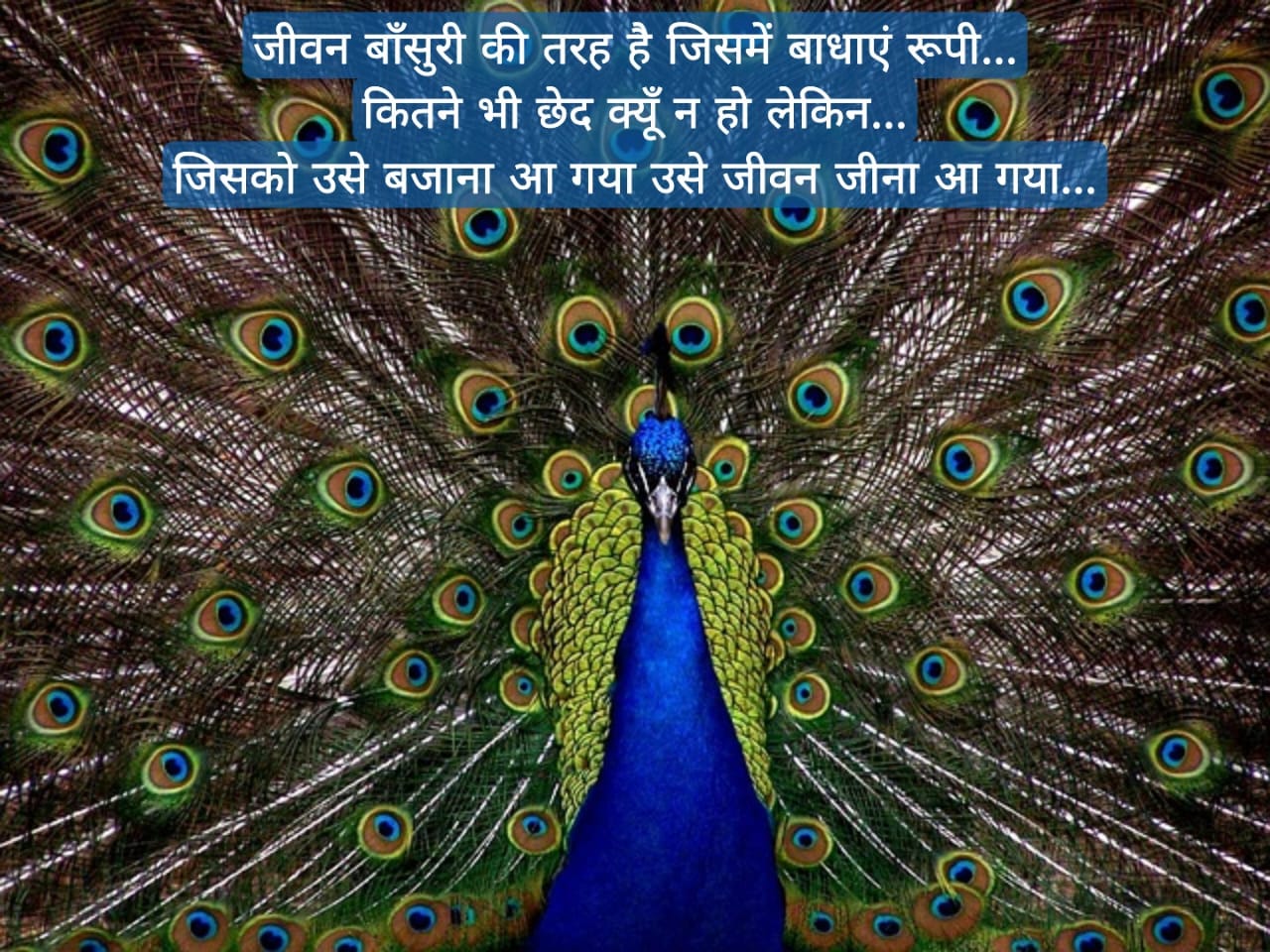 प्रेरणादायक सुप्रभात संदेश