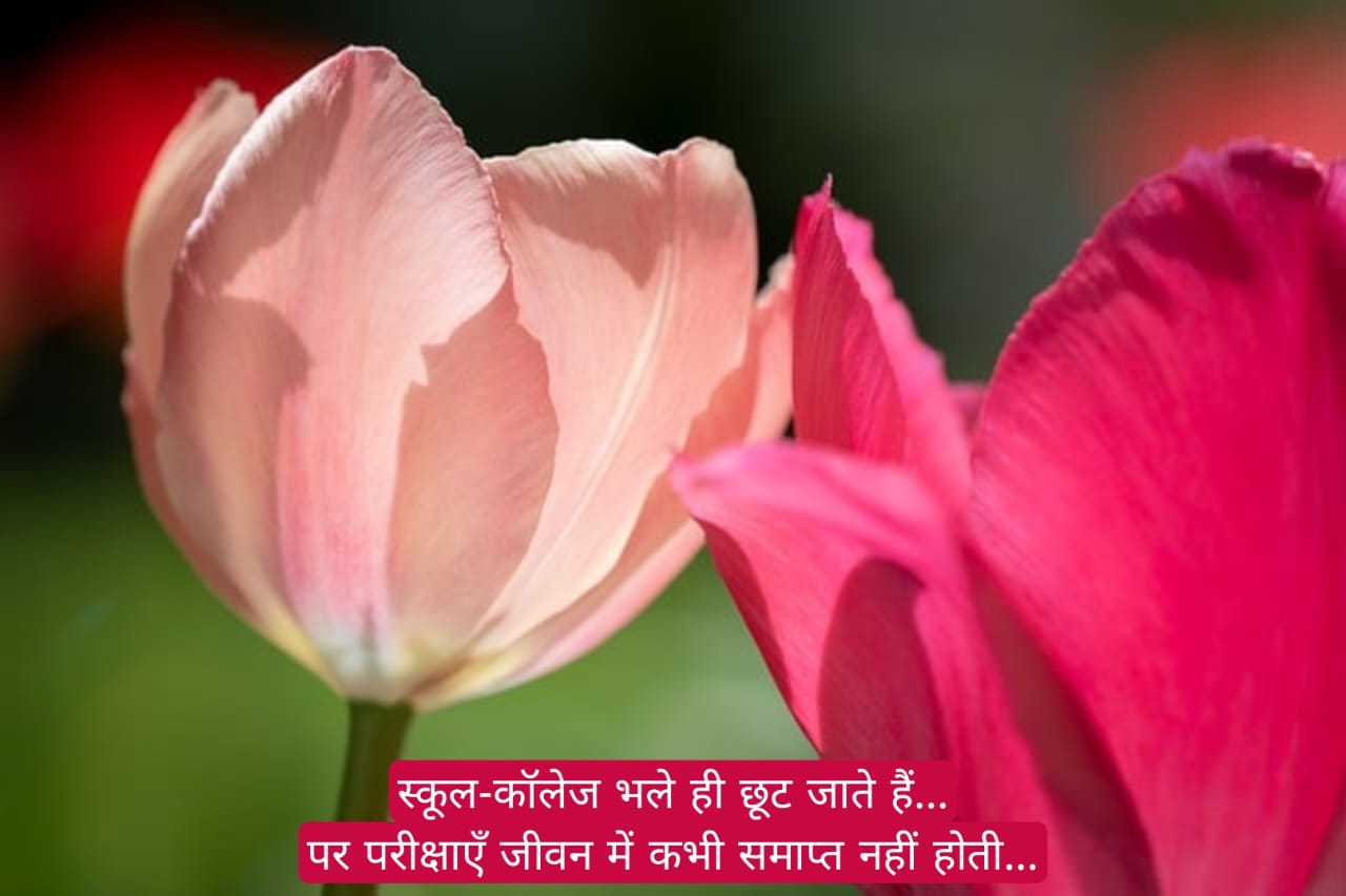 प्रेरणादायक सुप्रभात संदेश