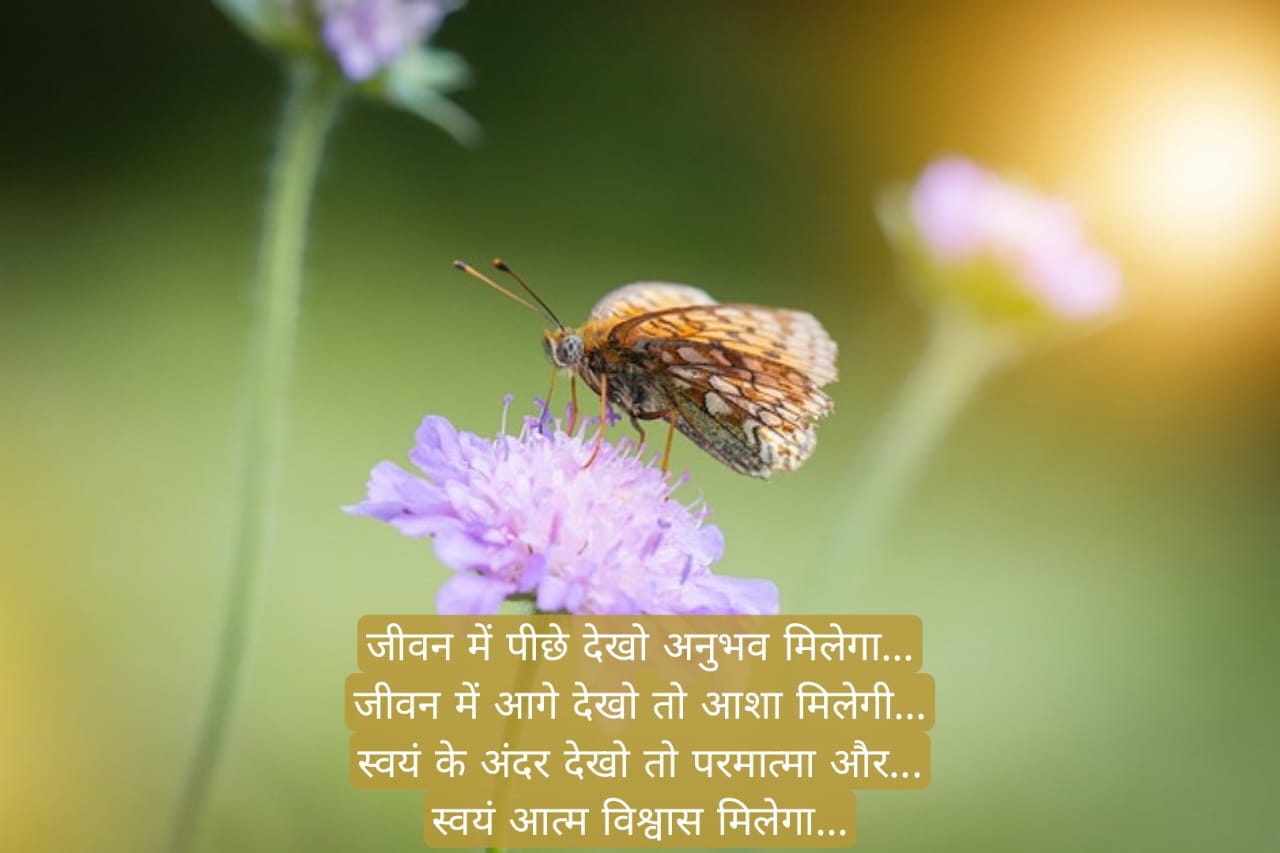 मोटिवेशनल अनमोल वचन