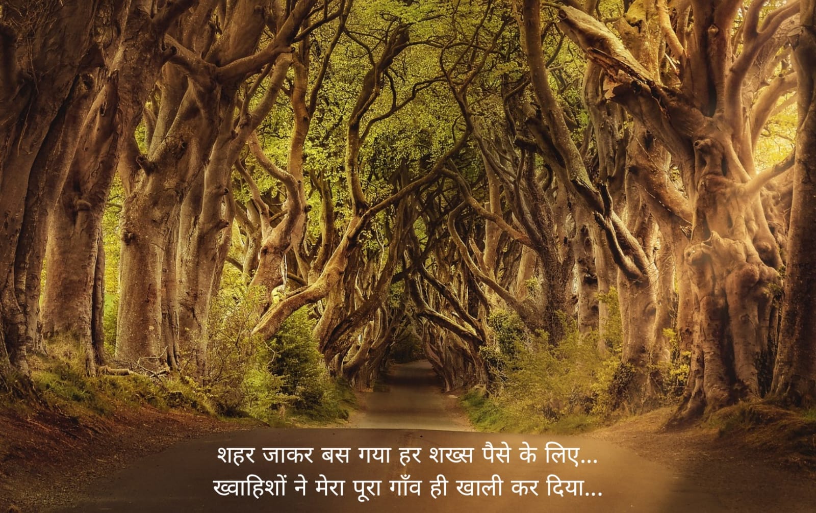 सुप्रभात संदेश हिंदी