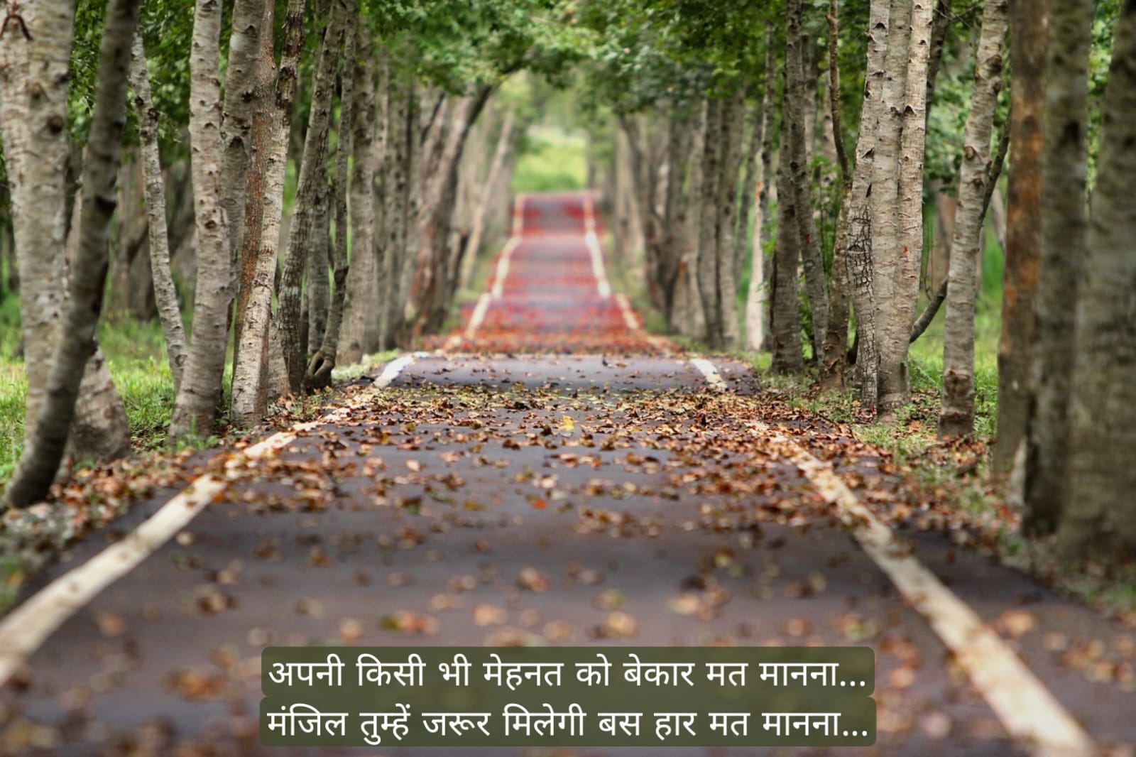सुप्रभात संदेश हिंदी