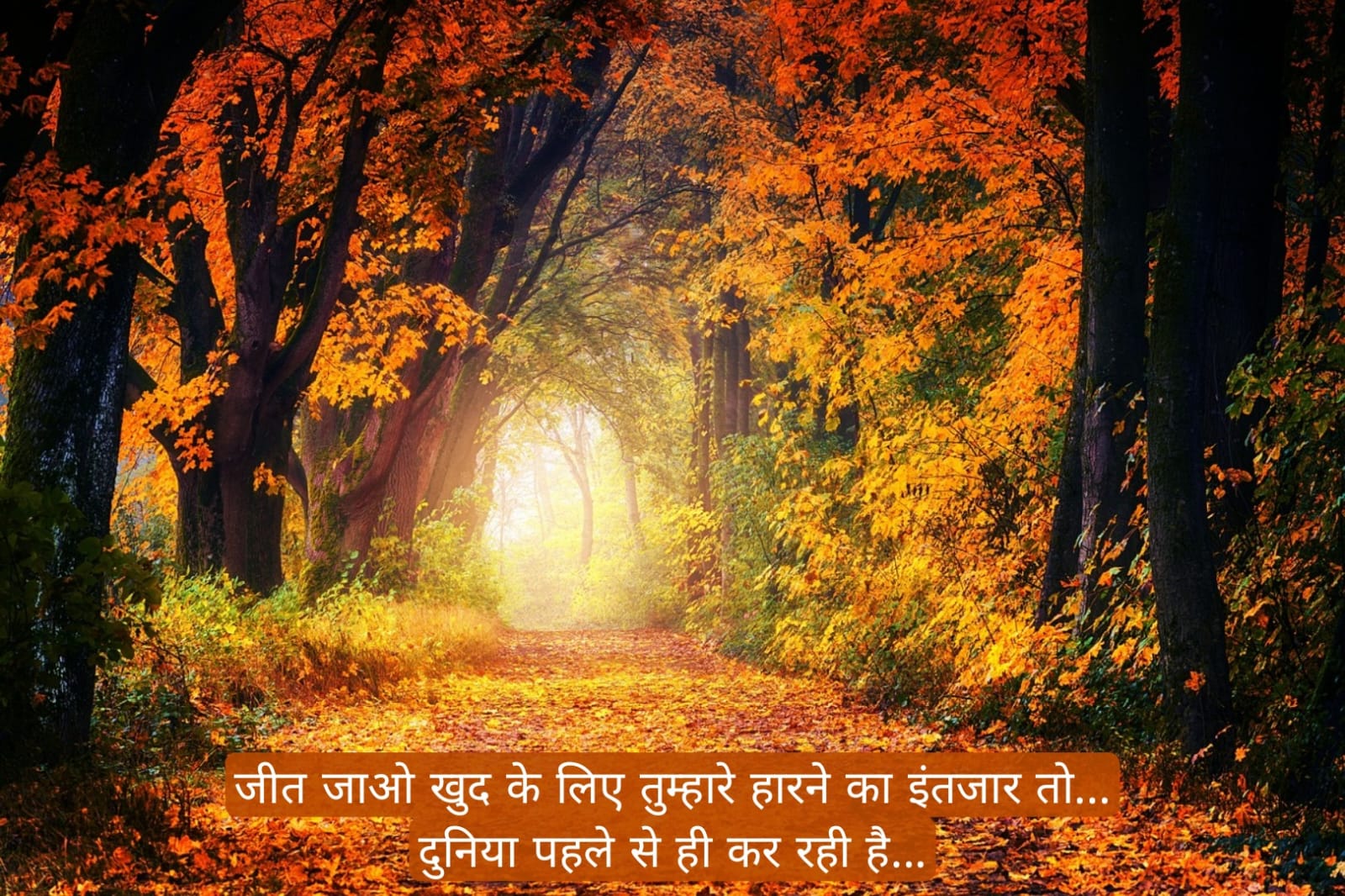 सुप्रभात संदेश हिंदी