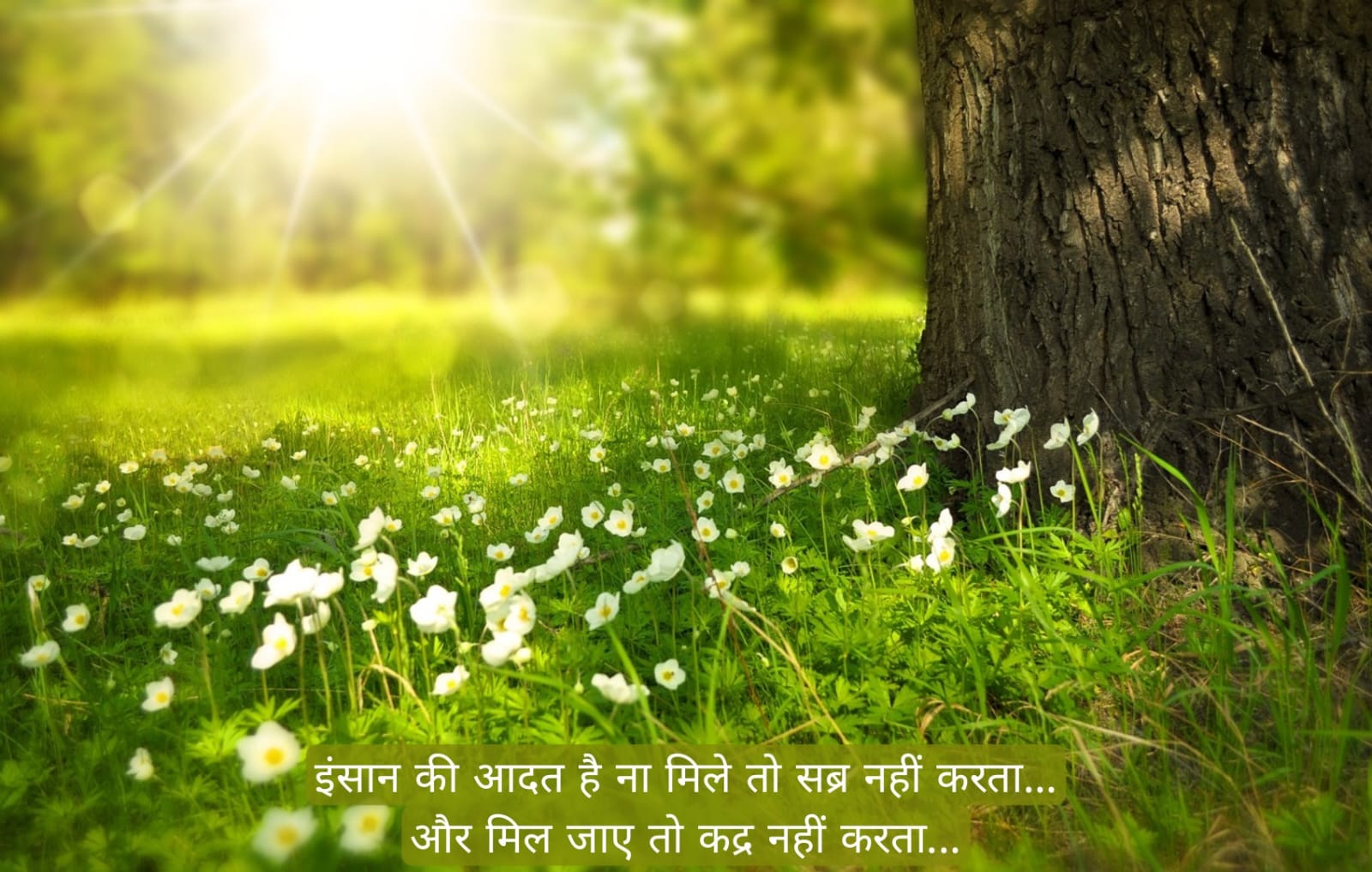 सुप्रभात संदेश हिंदी