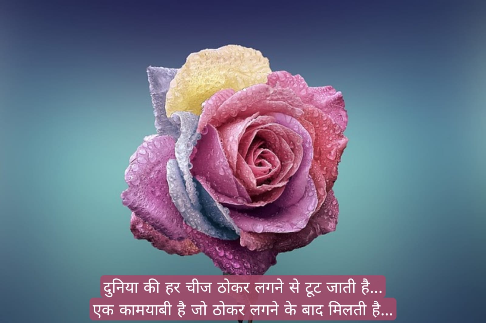 सुप्रभात संदेश हिंदी