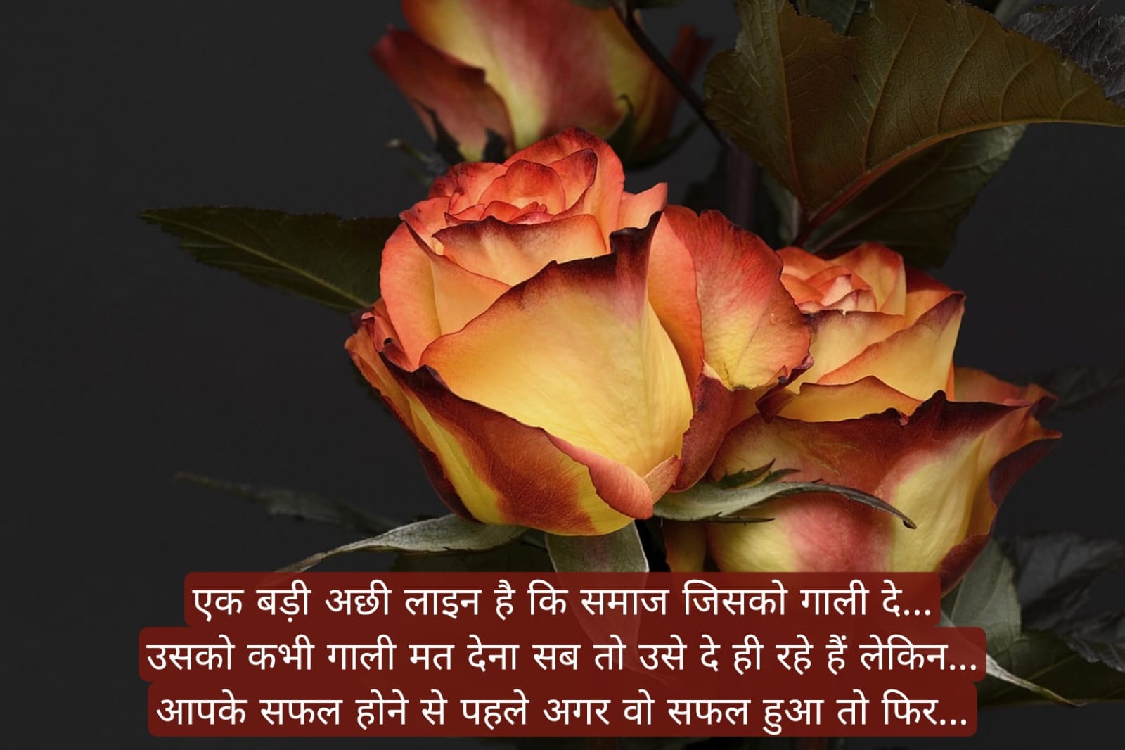 सुप्रभात संदेश हिंदी