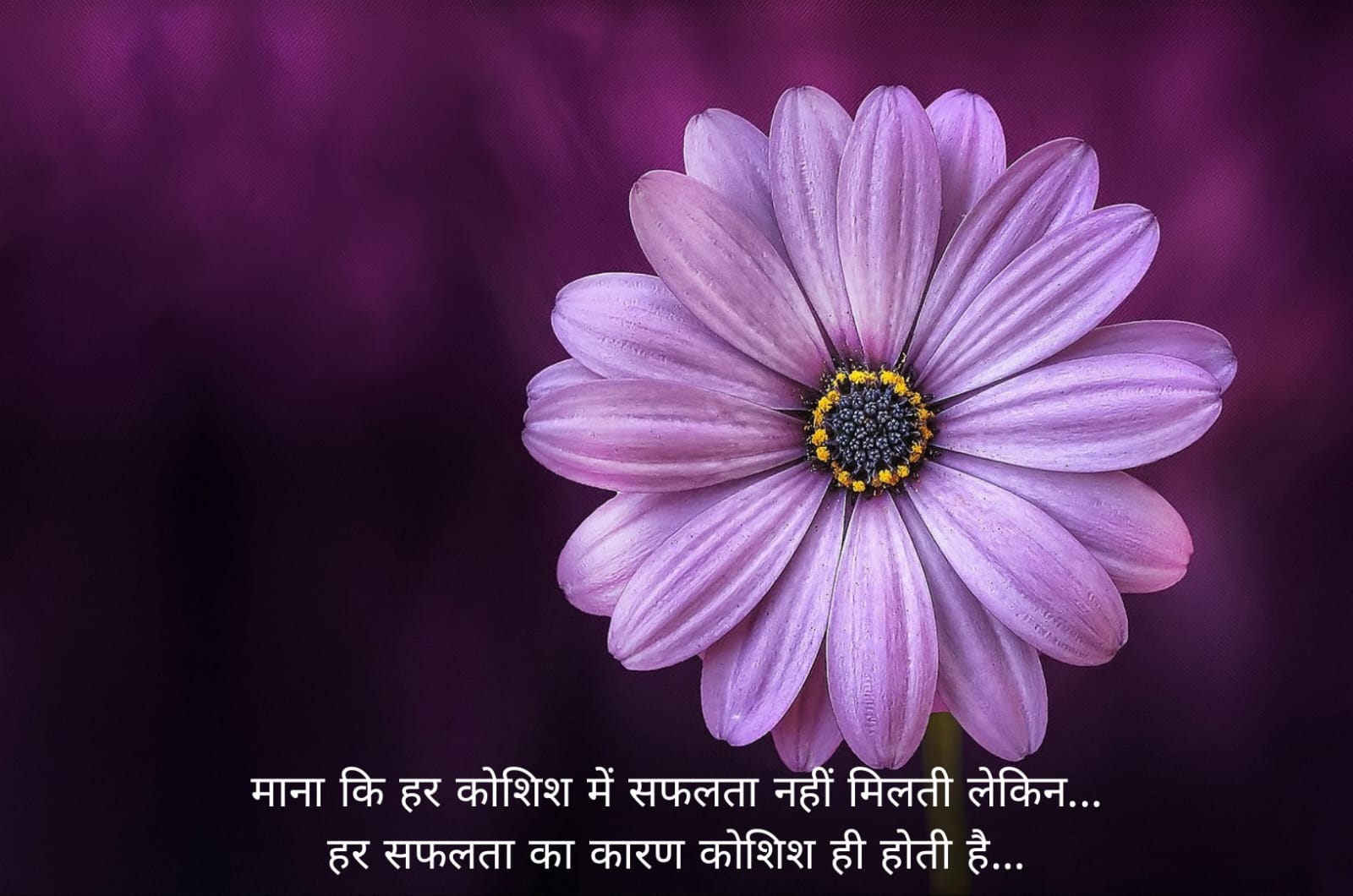सुप्रभात संदेश हिंदी
