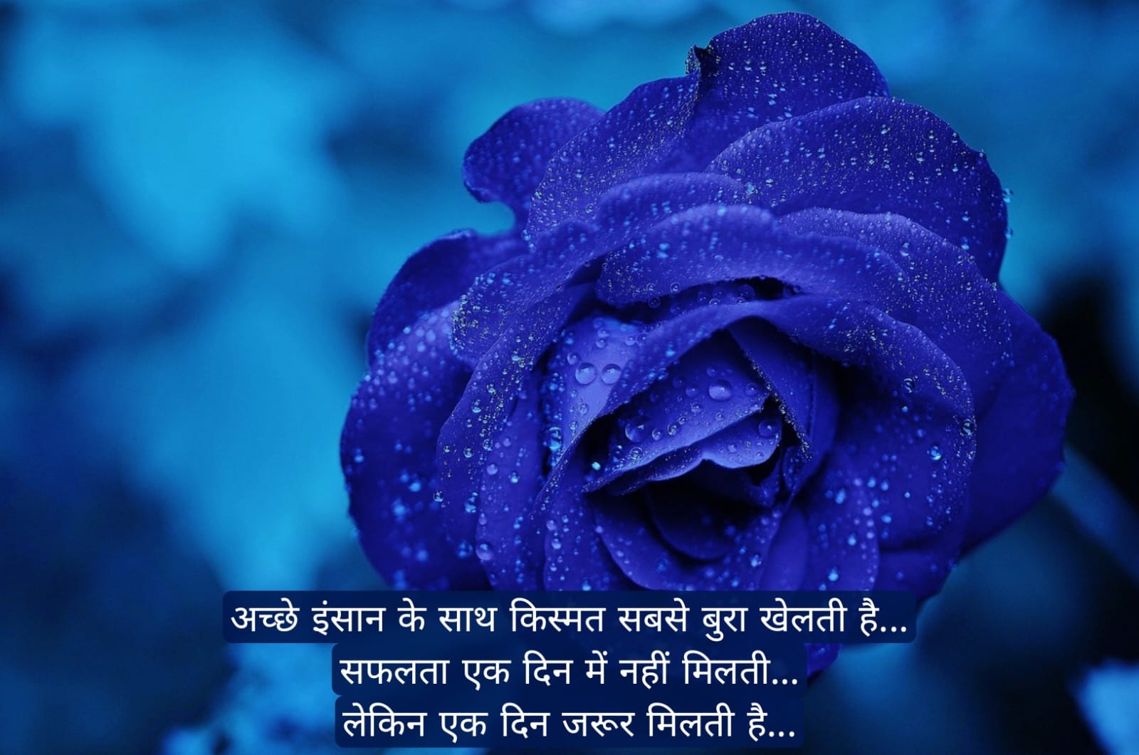 सुप्रभात संदेश हिंदी