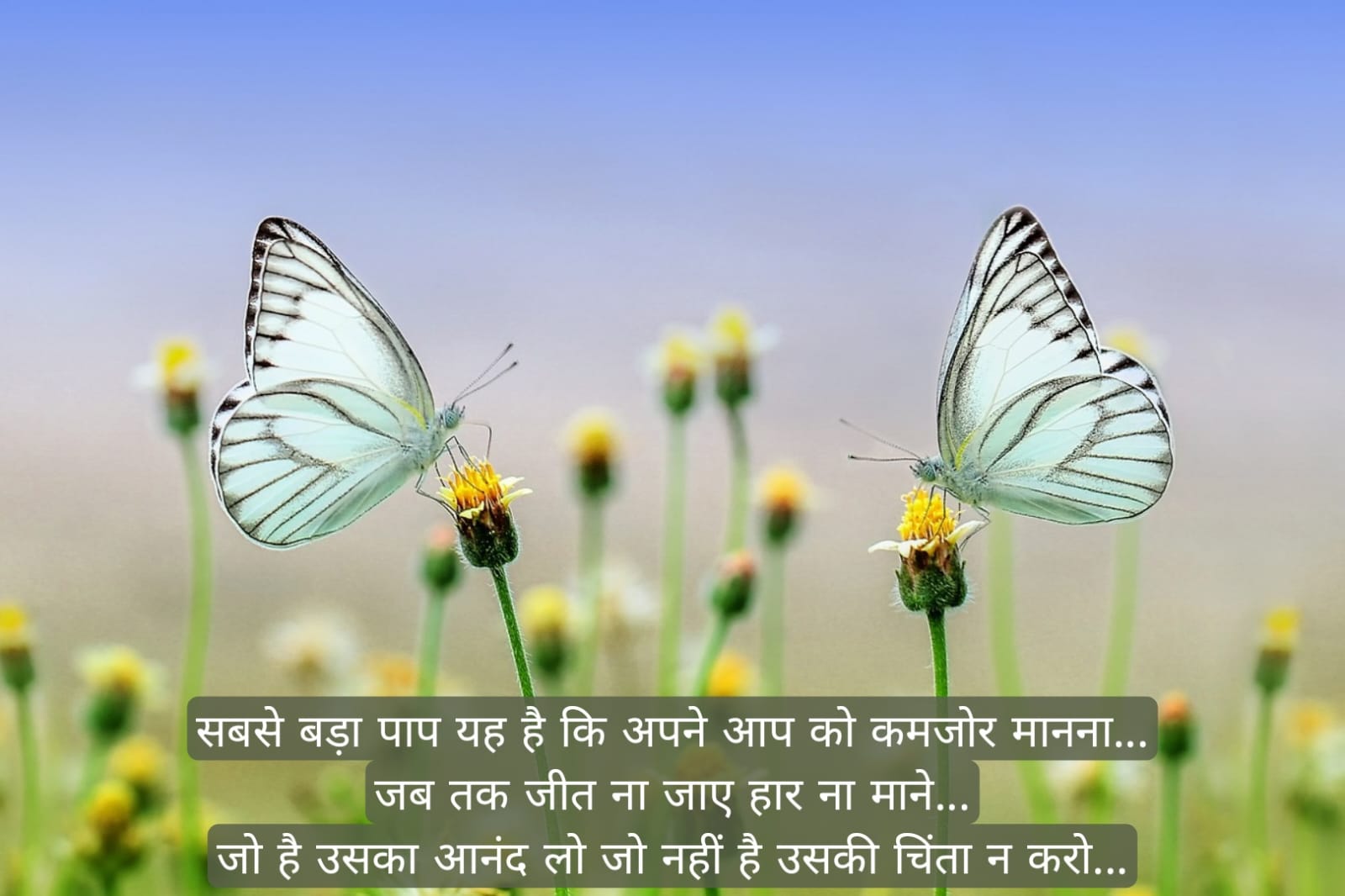सुप्रभात संदेश हिंदी